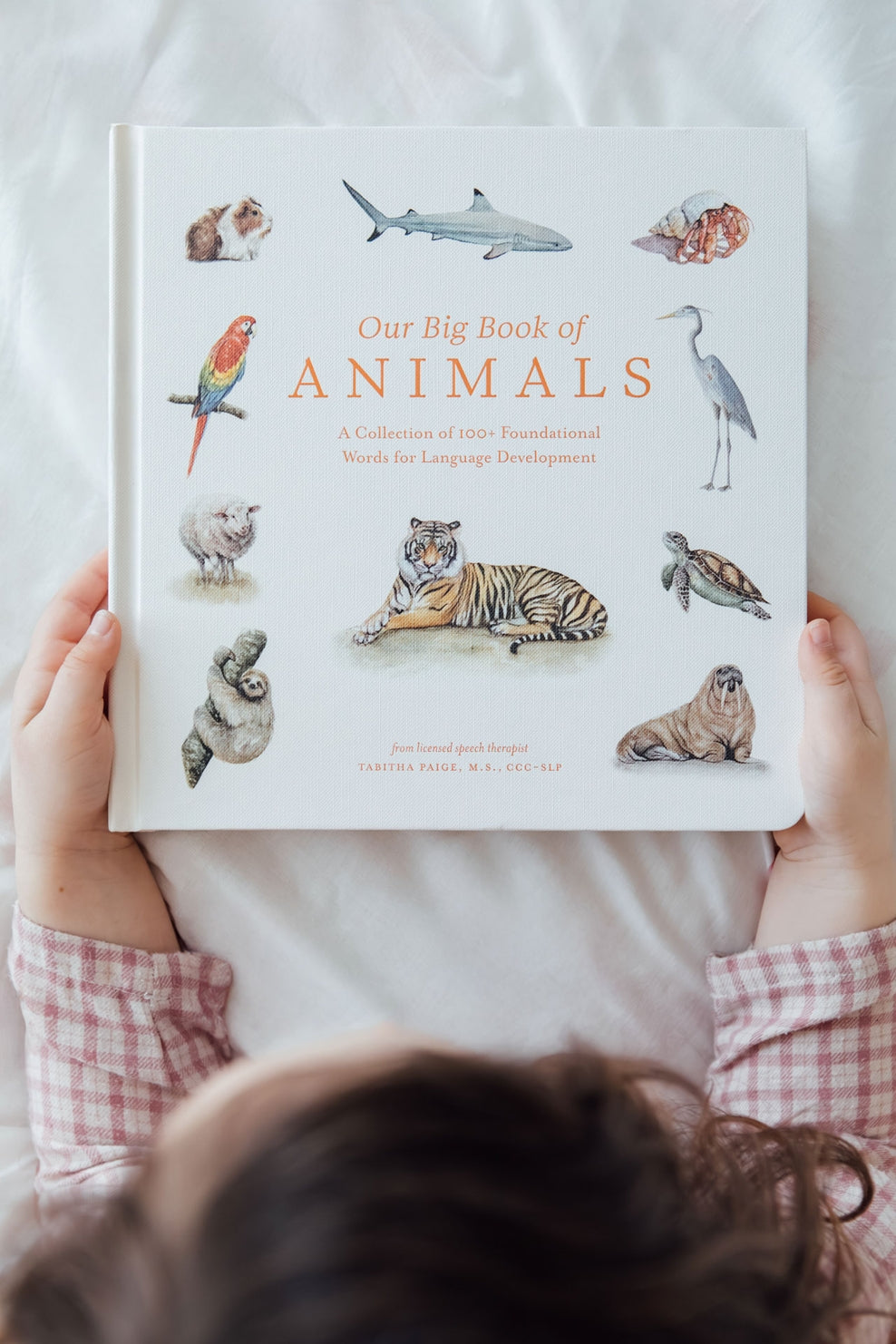 Our Big Book of Animals by Tabitha Paige