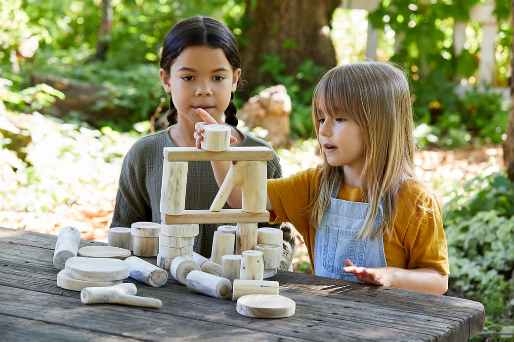 Bark-Less Blocks (21 Pcs)