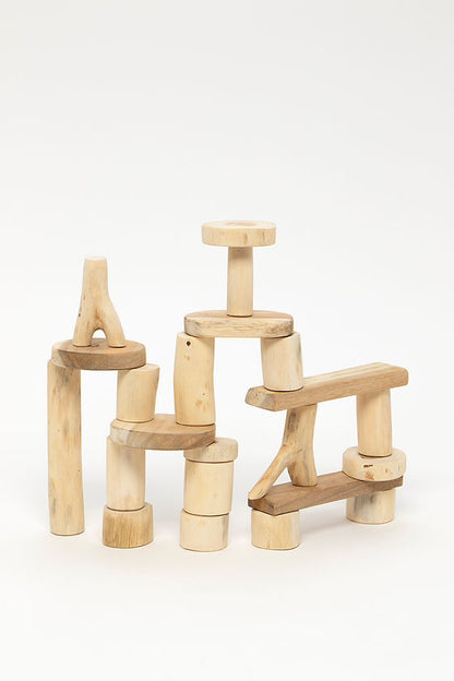 Bark-Less Blocks (21 Pcs)