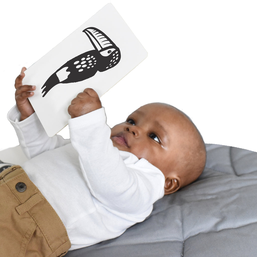 Art Cards For Baby - Rainforest Animals