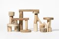 Bark-Less Blocks (21 Pcs)