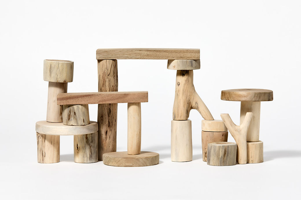 Bark-Less Blocks (21 Pcs)