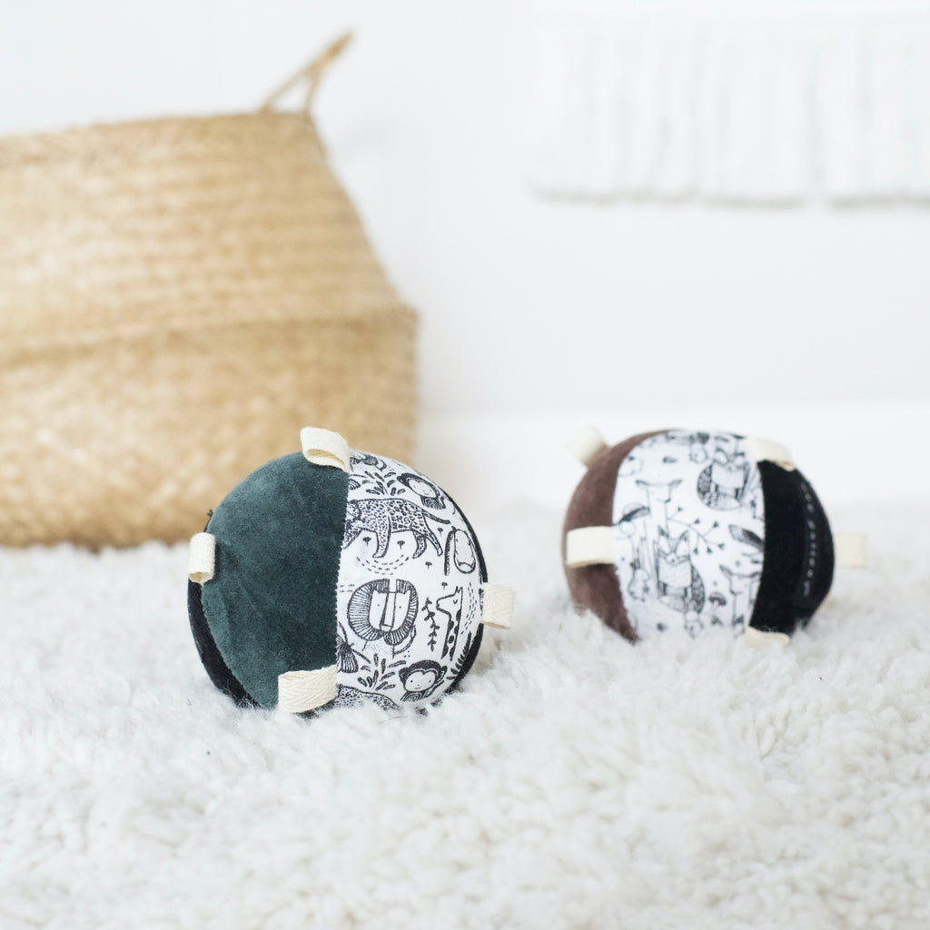 Taggy Ball with Rattle