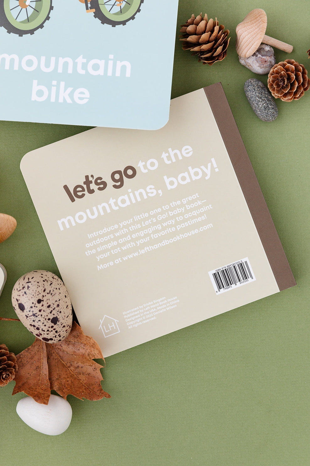 Mountain Baby Board Book
