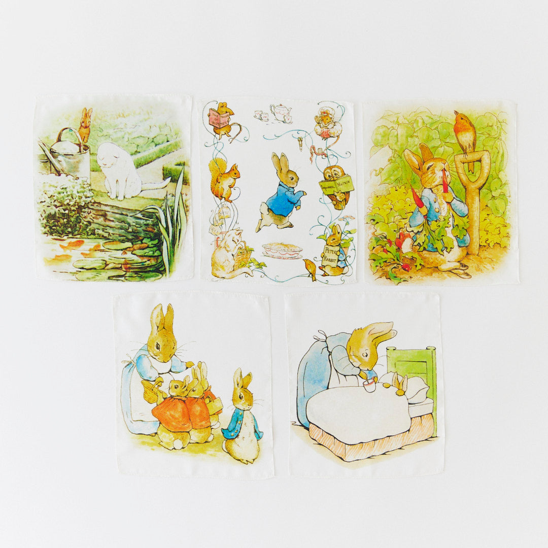 Beatrix Potter Playsilk Mystery Box