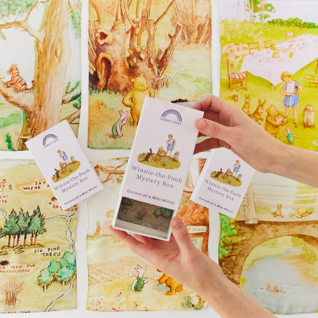 Winnie-The-Pooh Playsilk Mystery Box