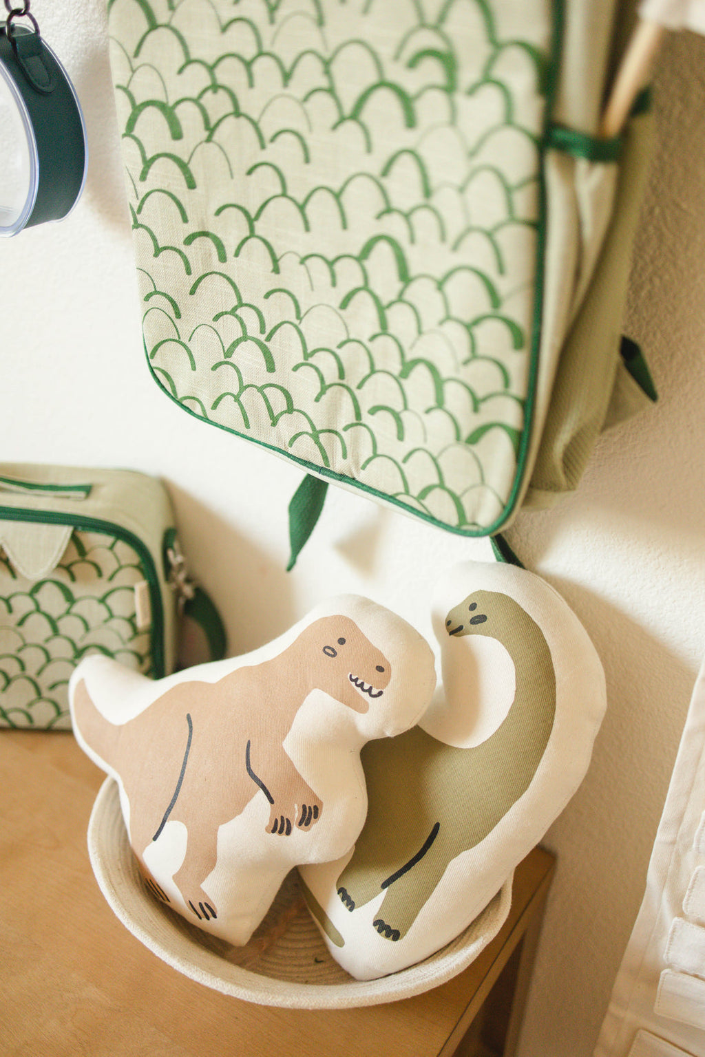 T-Rex Dinosaur Canvas Pillow