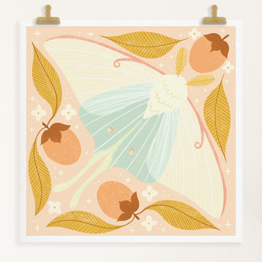 Luna Moth Art Print