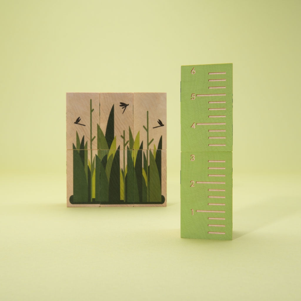 Environments Blocks - Swamp