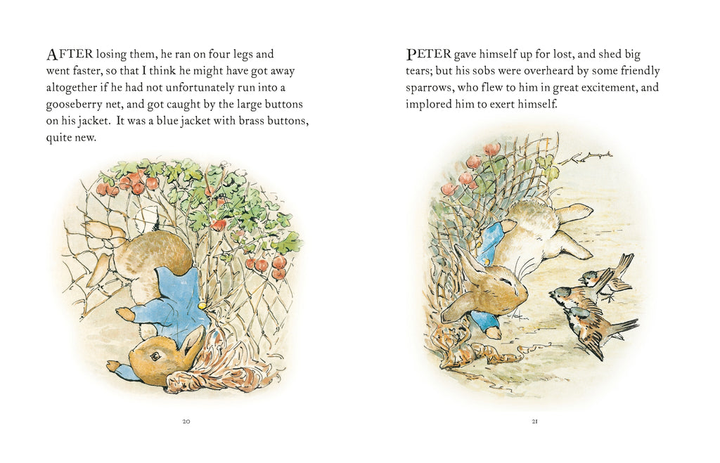 The Tale of Peter Rabbit by Beatrix Potter