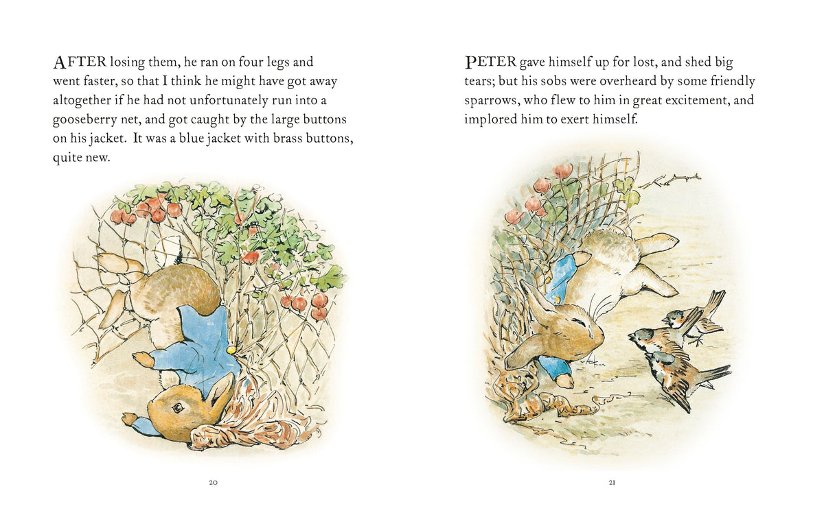 The Tale of Peter Rabbit by Beatrix Potter