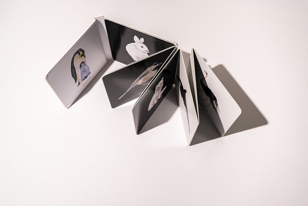 Baby's Black and White Contrast Book by Tabitha Paige