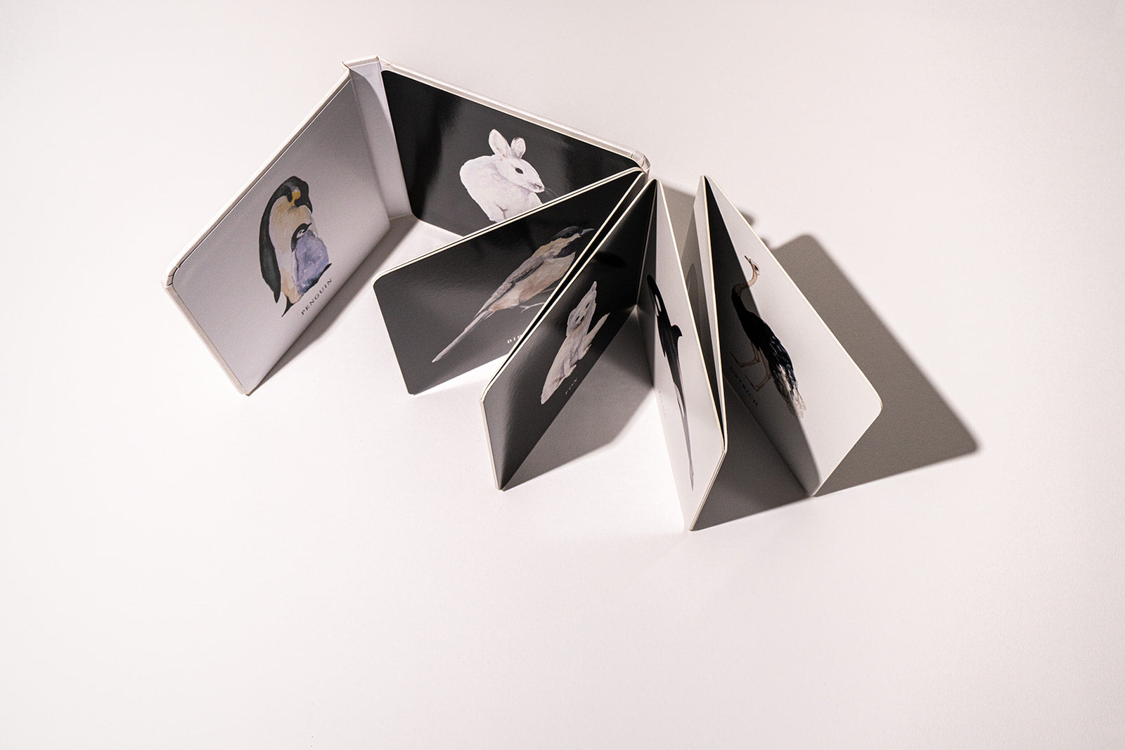 Baby's Black and White Contrast Book by Tabitha Paige