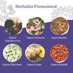 Organic Elderberry Immune Tea