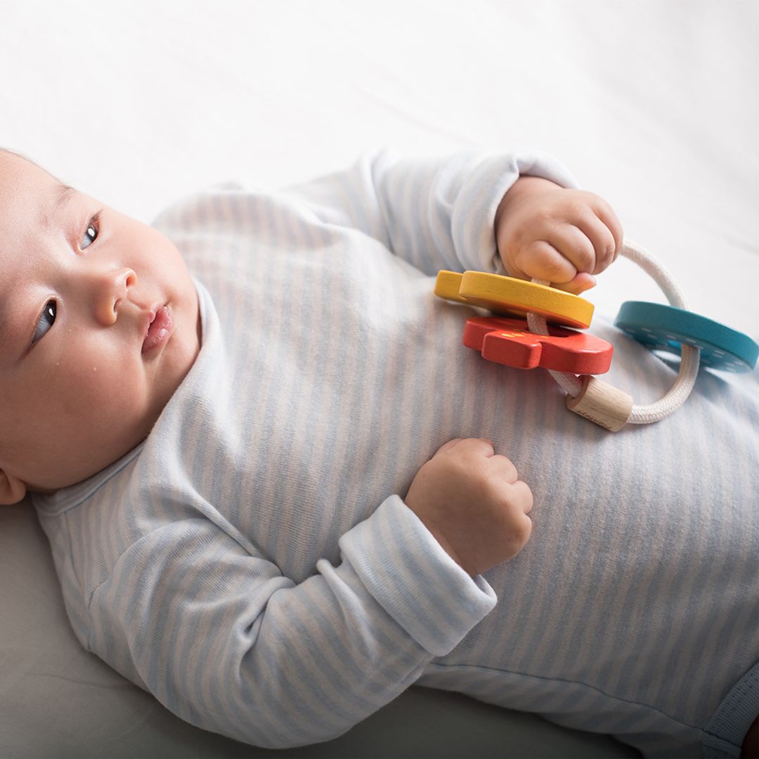 Baby Key Rattle Toy