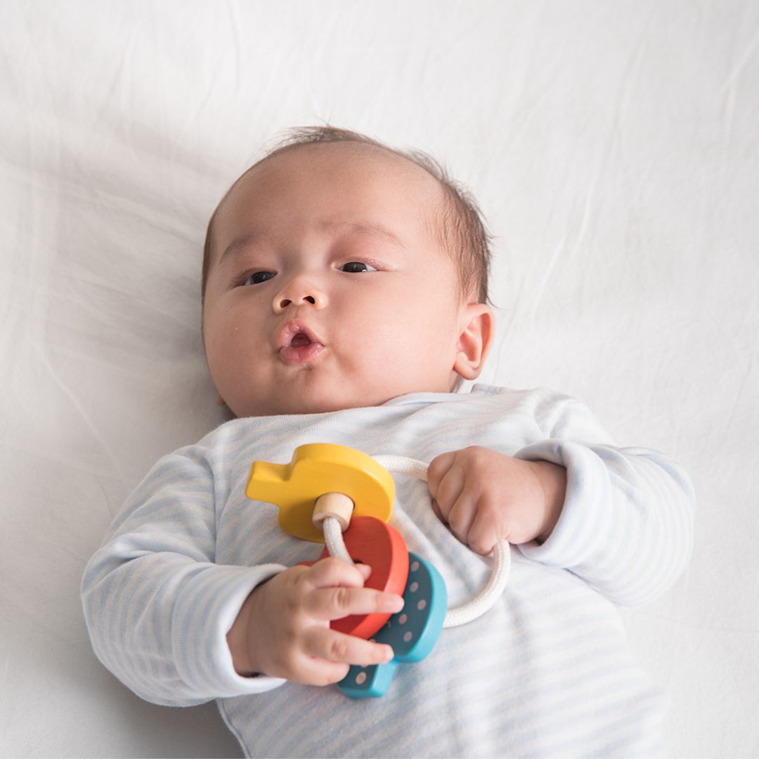 Baby Key Rattle Toy