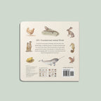 Our Big Book of Animals by Tabitha Paige
