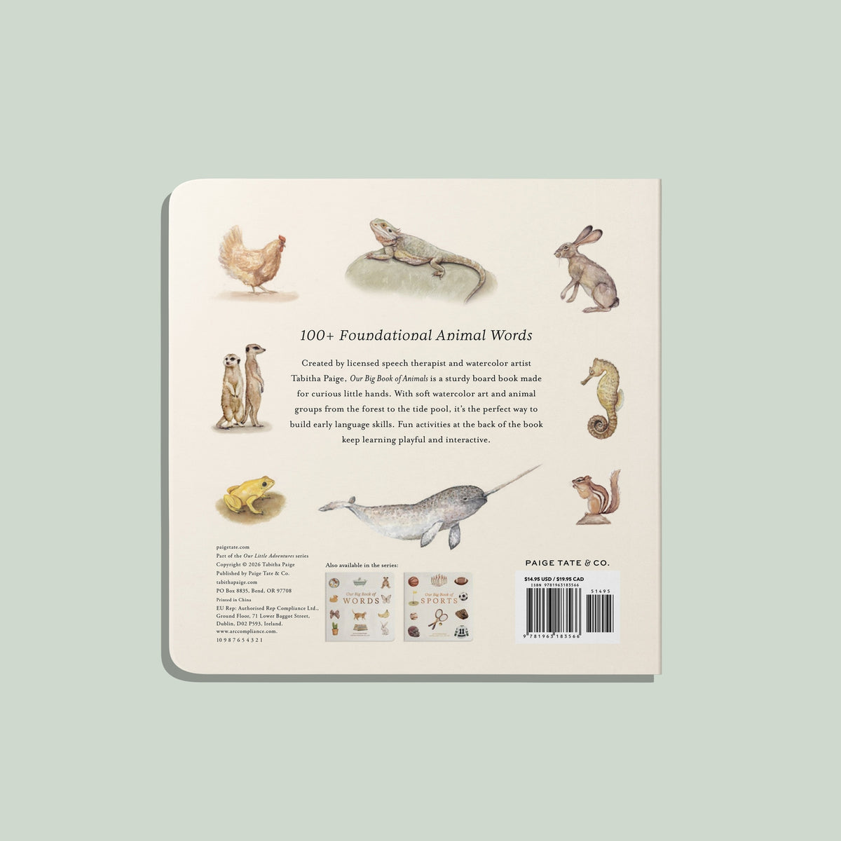 Our Big Book of Animals by Tabitha Paige