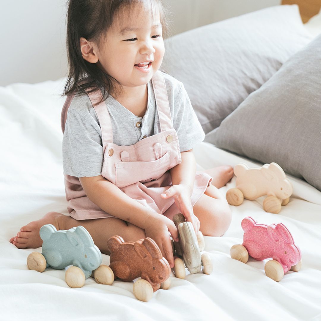 Push Along Bunny Toy