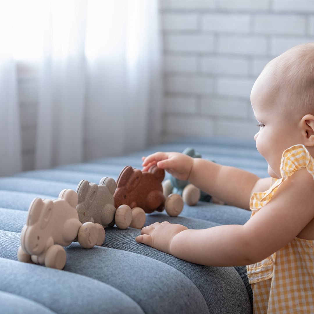 Push Along Bunny Toy