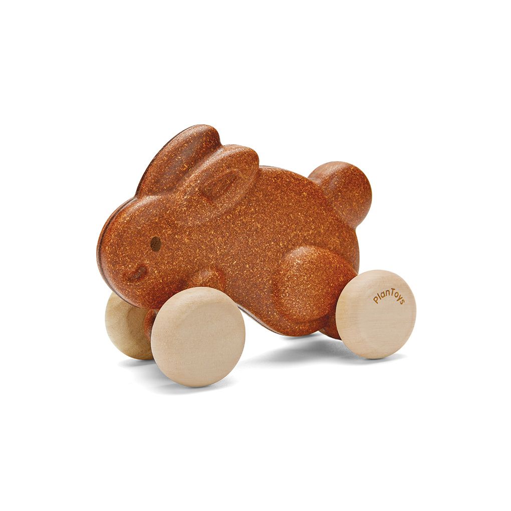 Push Along Bunny Toy
