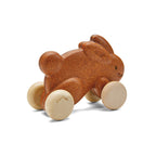 Push Along Bunny Toy