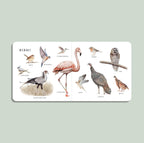 Our Big Book of Animals by Tabitha Paige