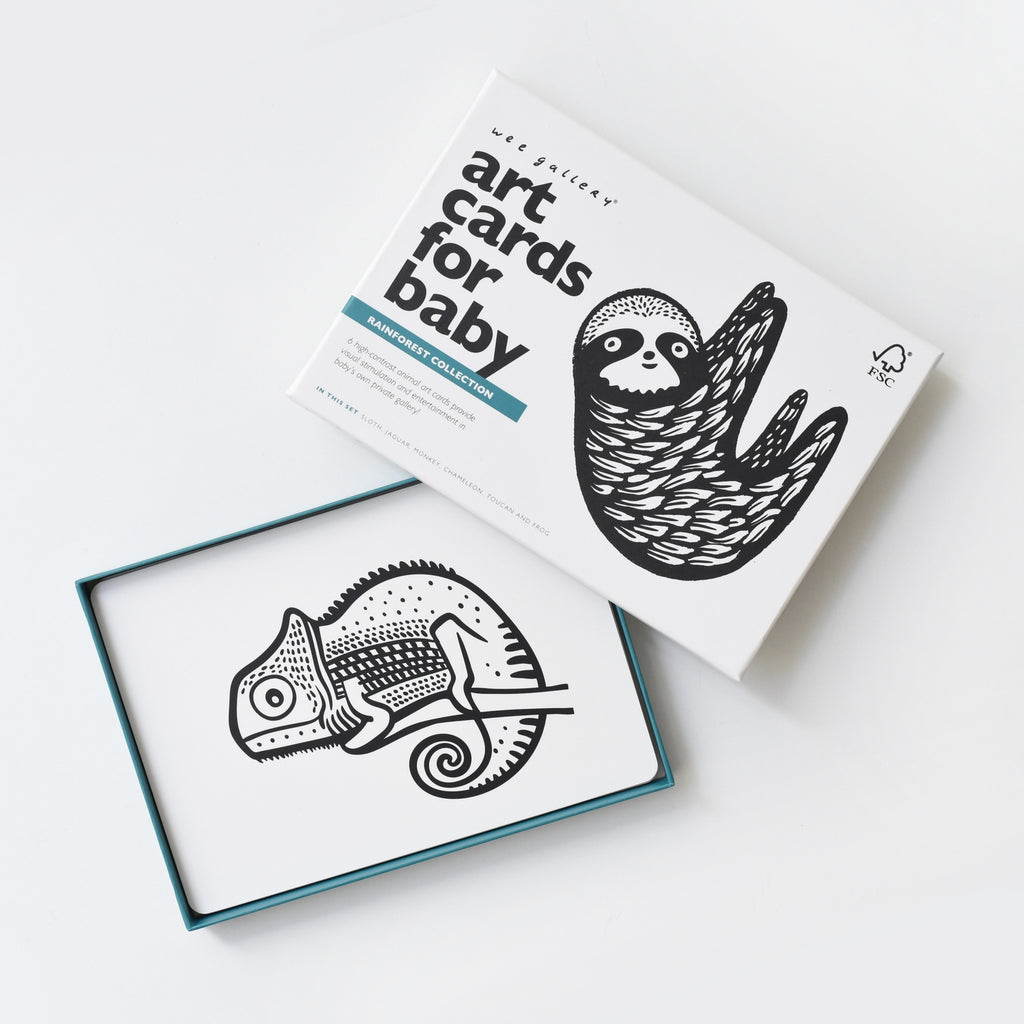 Art Cards For Baby - Rainforest Animals