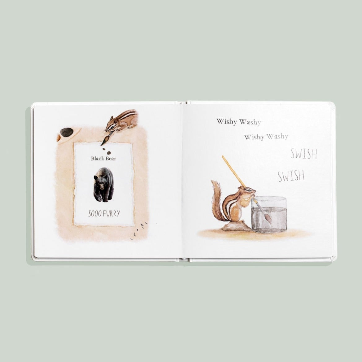 Wishy Washy: A Board Book of First Words and Colors by Tabitha Paige
