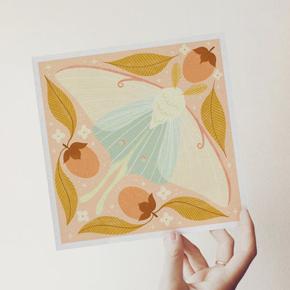 Luna Moth Art Print