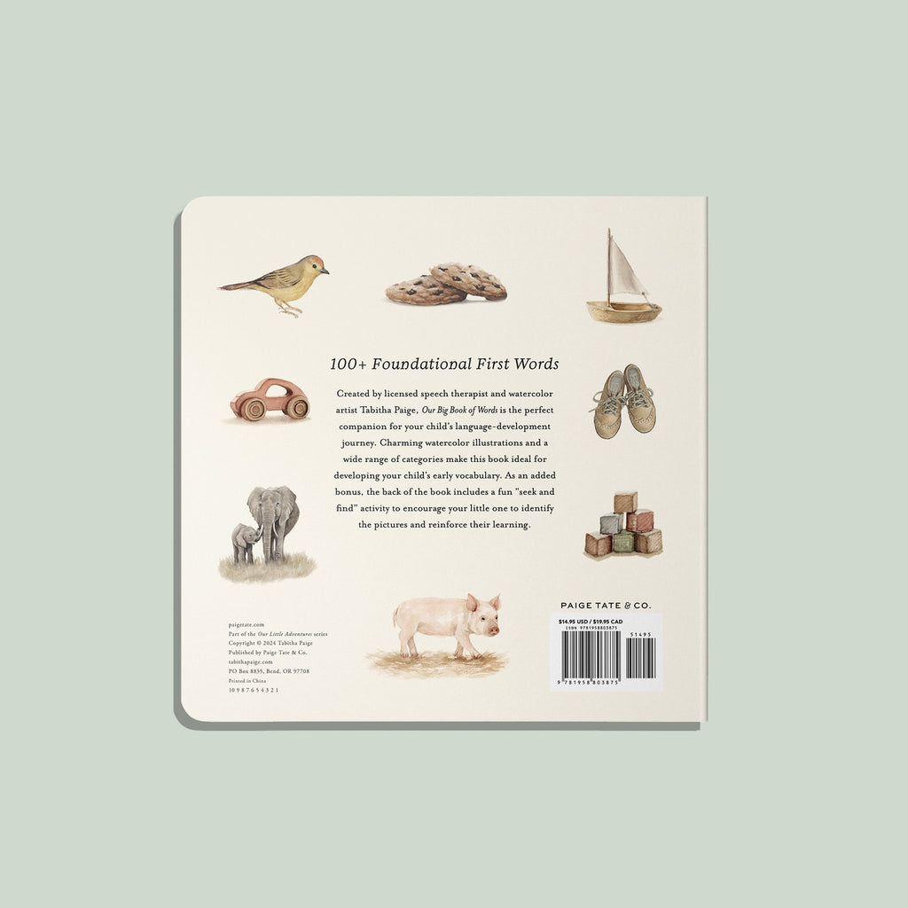 Our Big Book of First Words by Tabitha Paige