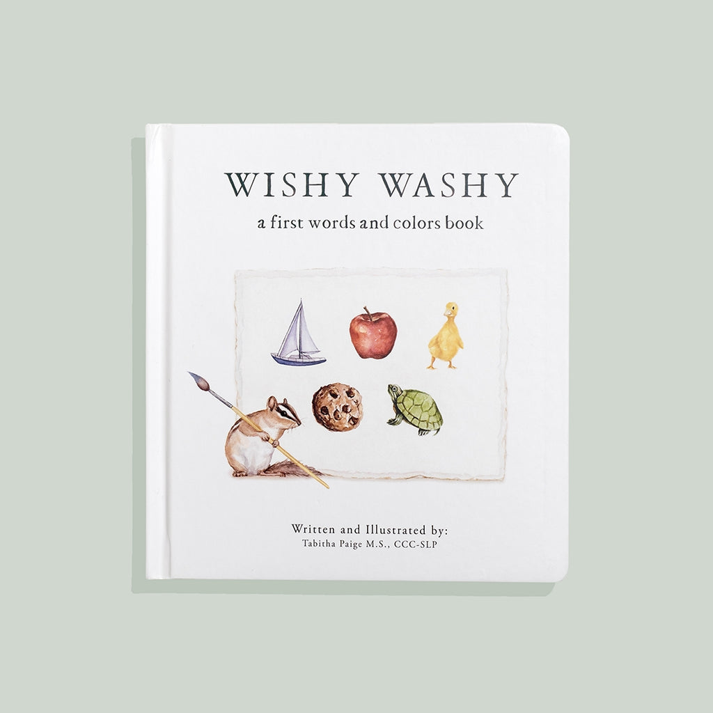 Wishy Washy: A Board Book of First Words and Colors by Tabitha Paige