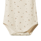 Pointelle Camisole Bodysuit