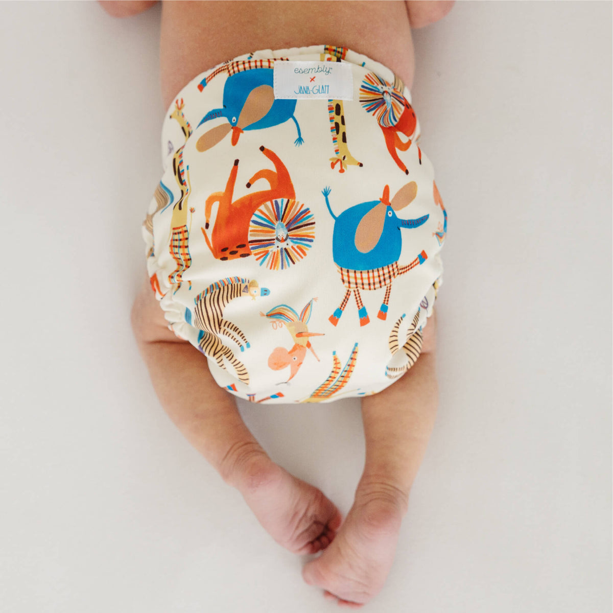 Waterproof Outer (+ Swim Diaper) - JG Circus