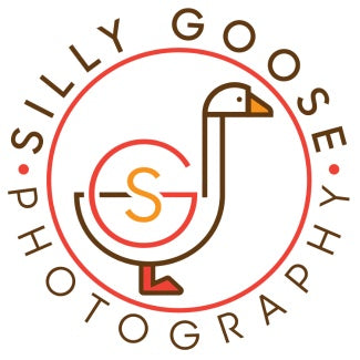 Short & Sweet Photo Sessions with Silly Goose