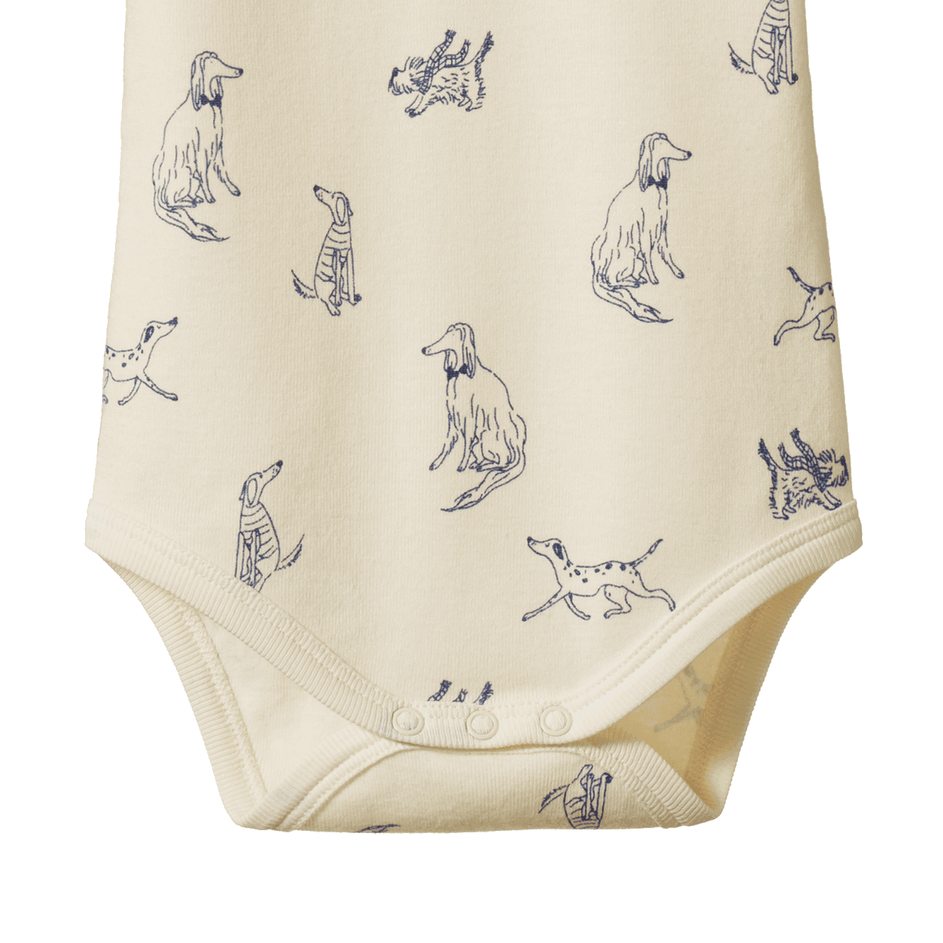 Cotton Short Sleeve Bodysuit