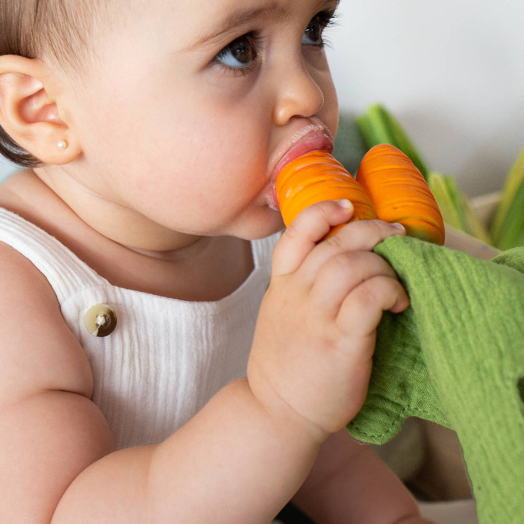Cathy the Carrot Mini Lovey Teether
