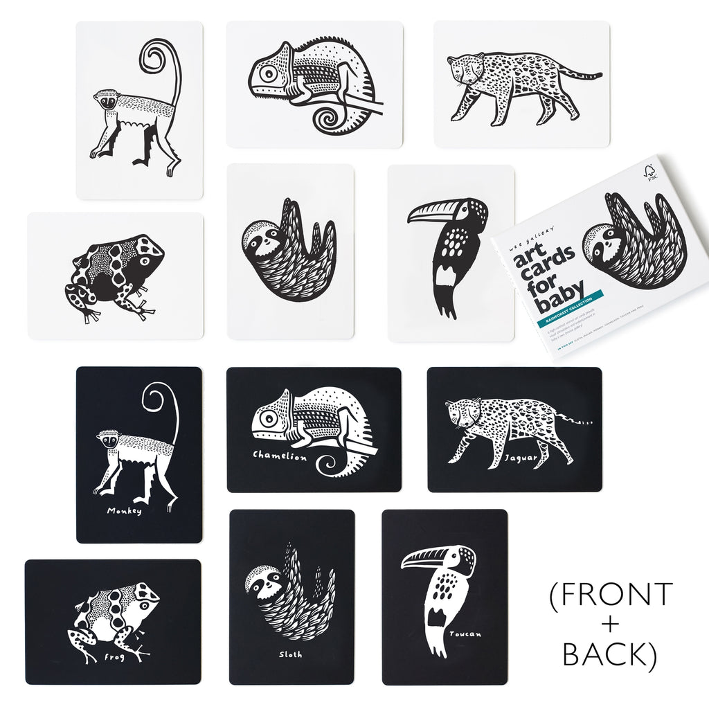 Art Cards For Baby - Rainforest Animals