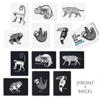 Art Cards For Baby - Rainforest Animals