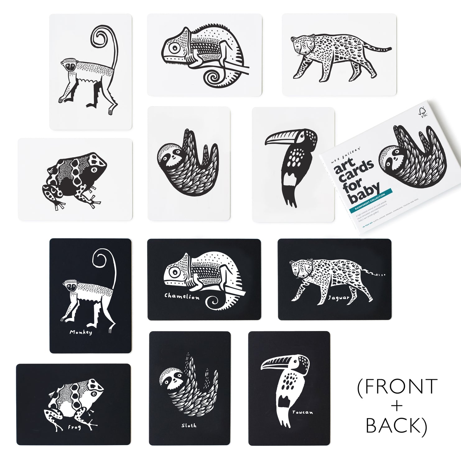 Art Cards For Baby - Rainforest Animals