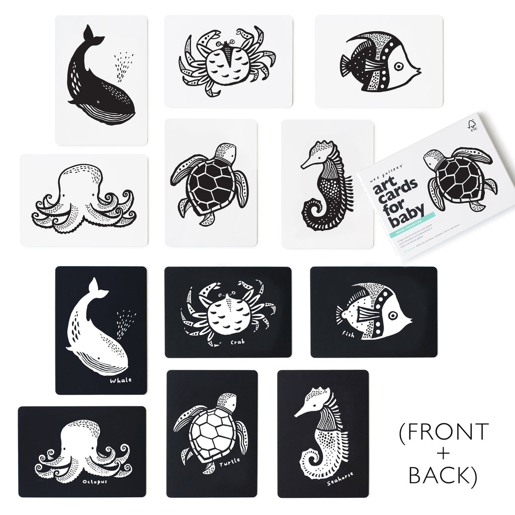 Art Cards For Baby - Ocean Animals