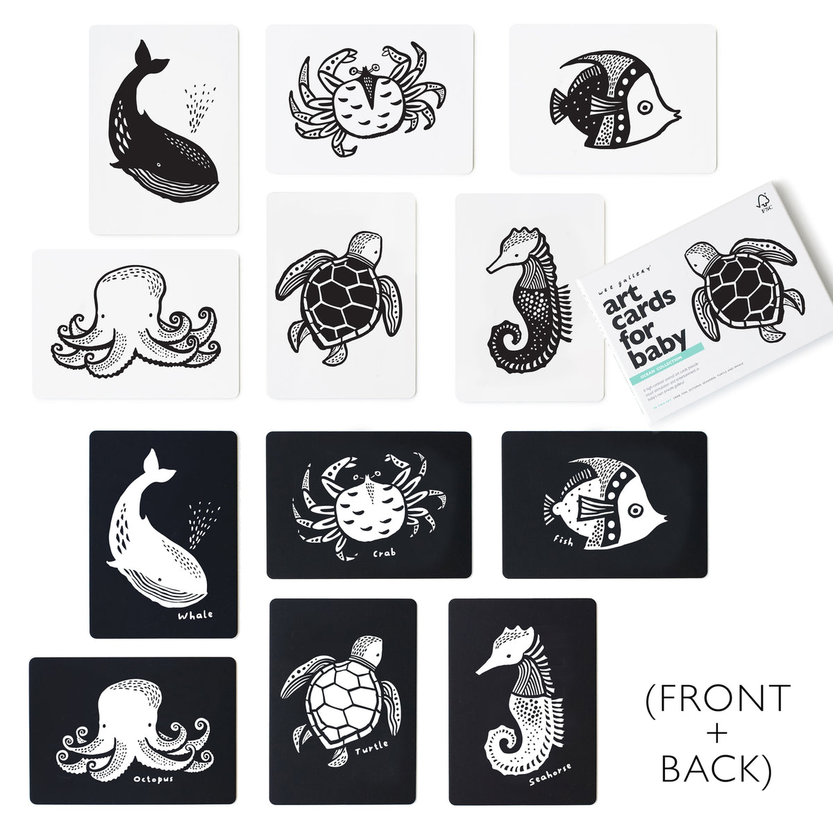 Art Cards For Baby - Ocean Animals