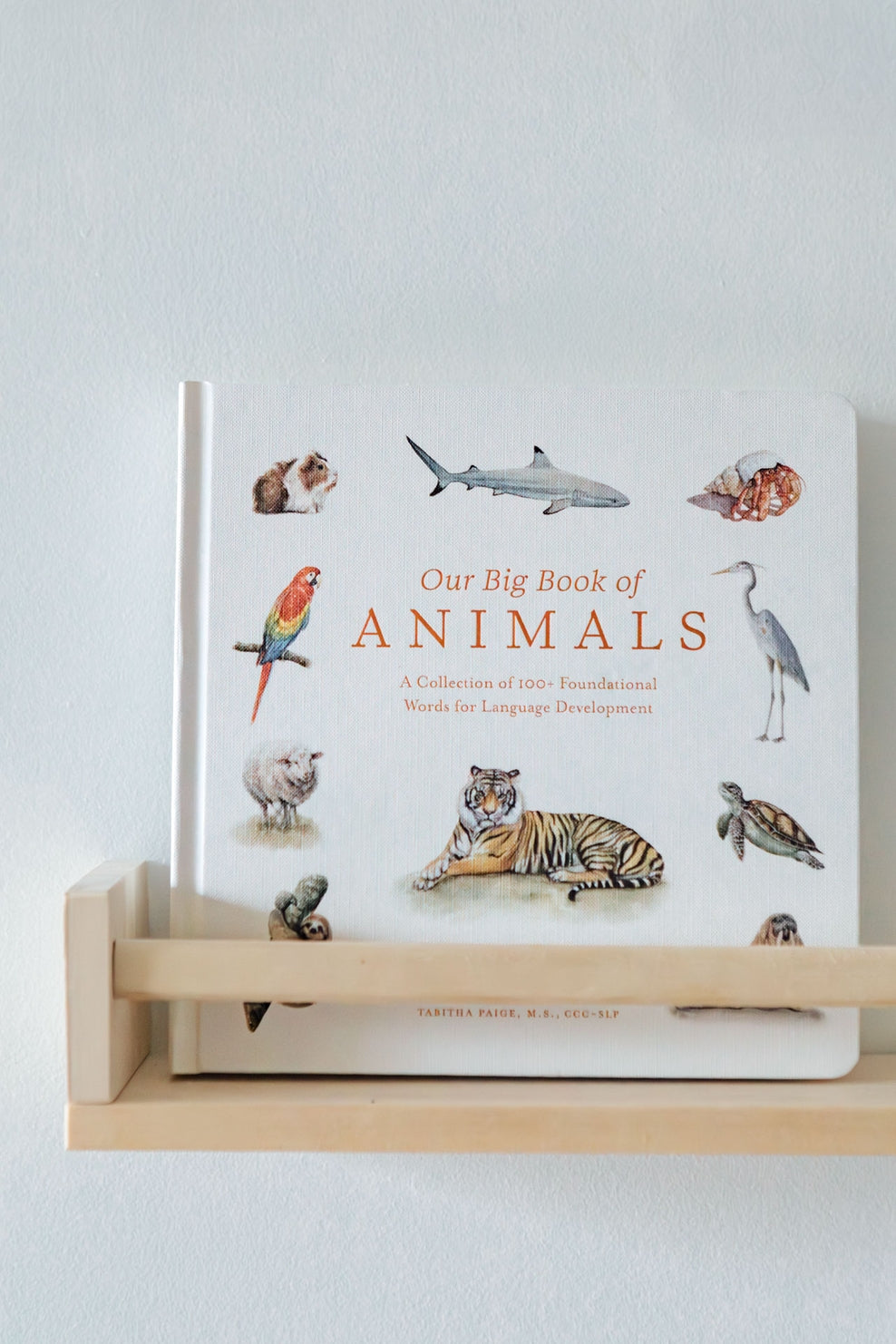 Our Big Book of Animals by Tabitha Paige