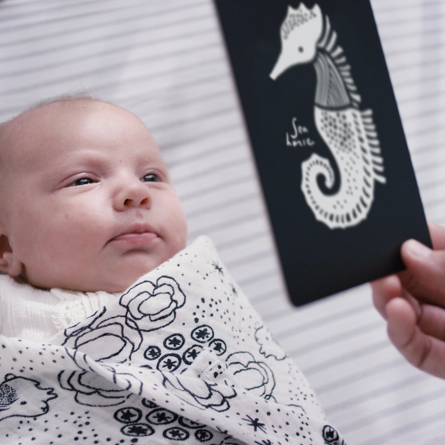 Art Cards For Baby - Ocean Animals