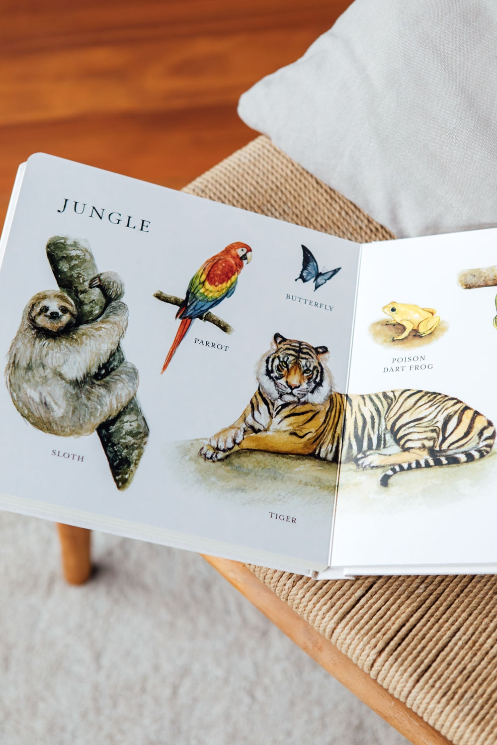 Our Big Book of Animals by Tabitha Paige