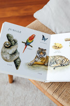 Our Big Book of Animals by Tabitha Paige