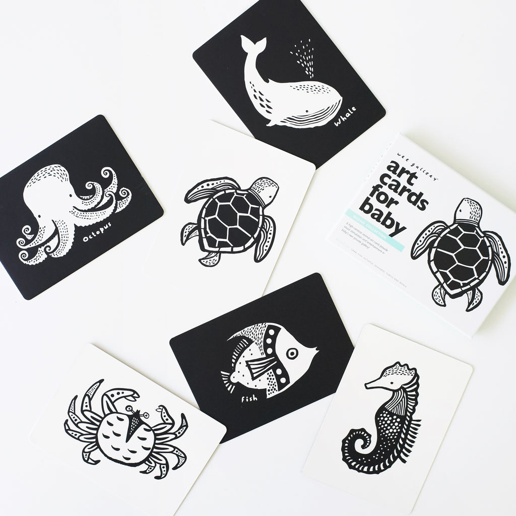 Art Cards For Baby - Ocean Animals