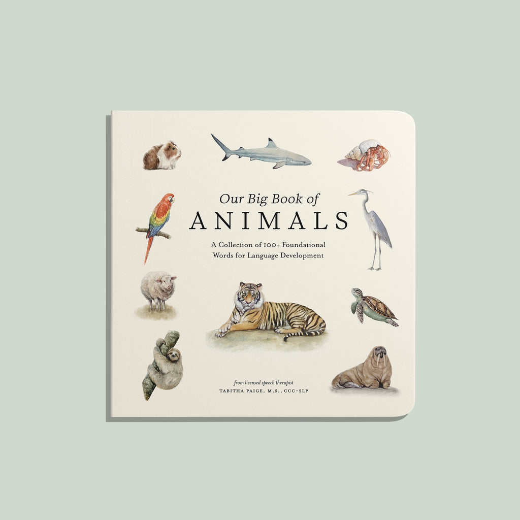 Our Big Book of Animals by Tabitha Paige