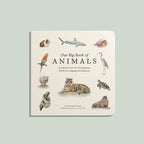 Our Big Book of Animals by Tabitha Paige