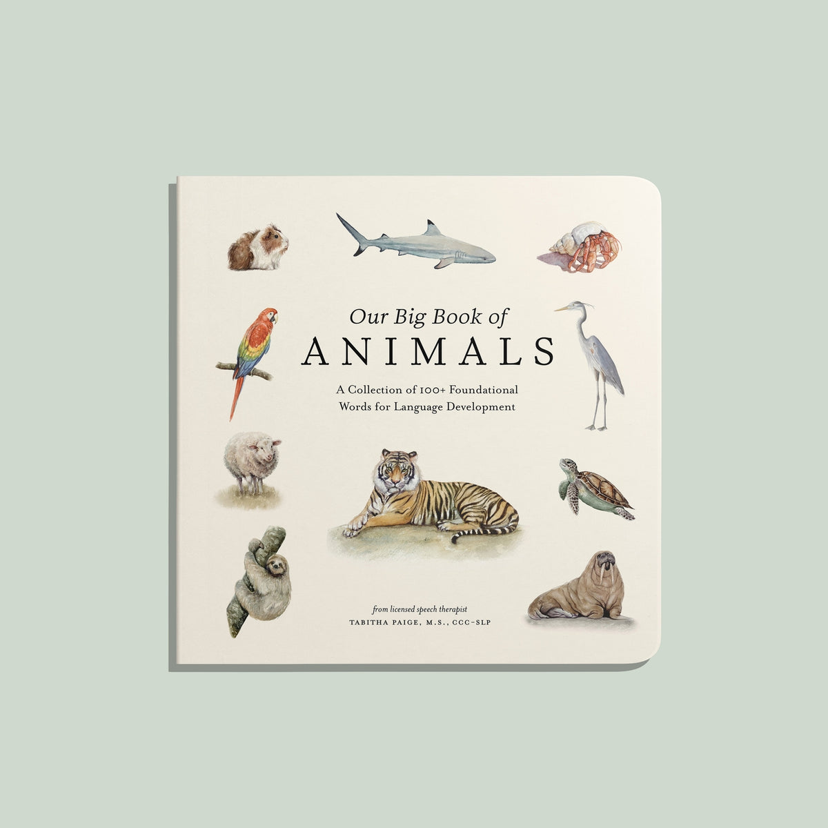 Our Big Book of Animals by Tabitha Paige